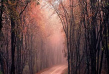 华体会网页版入口-西雅图海湾者外援状态火爆，助力球队冲击最高荣誉