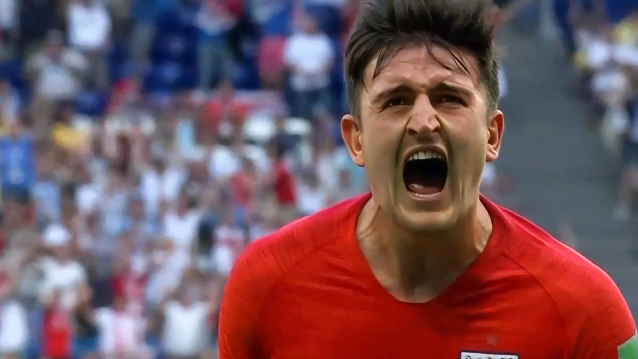 华体会活动-瑞典队成功出线，晋级欧洲杯决赛圈的简单介绍